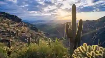 Scottsdale, Arizona