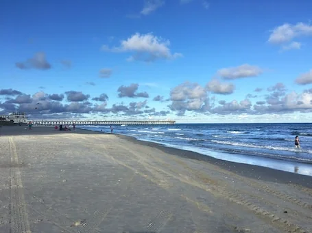 Amazing Luxury Direct Ocean Front 1BD/1BA, Modern Decor. Great Location!