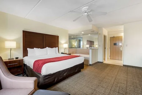 Comfort Inn Kissimmee-Lake Buena Vista South
