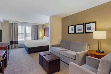 Comfort Inn & Suites Dover near Speedway
