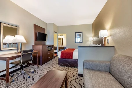 Comfort Inn & Suites Orange County John Wayne Airport