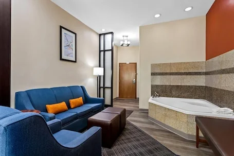 Comfort Suites Roswell North