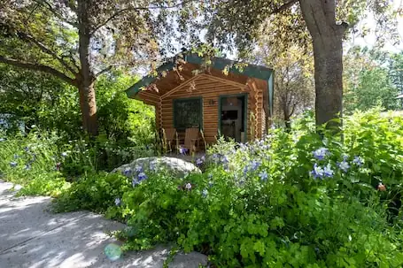 Flying Saddle Resort
