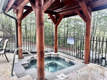 FREE Dollywood Ticket • Big Bear Lodge 5005 • REMODELED 2bd/2ba • Pools • View