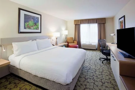Hilton Garden Inn Minneapolis Eagan