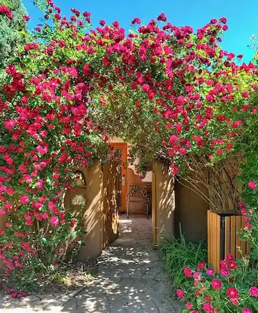 Inn on the Alameda