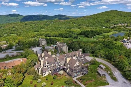 Luxury Mountain Suite – Ski/Golf/Hike/Play