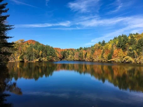 Mountain Meadows Lodge