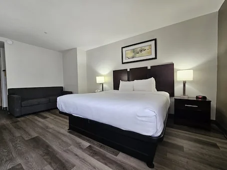 Quality Inn & Suites Lexington South