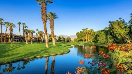 Relax at Marriott’s Desert Springs Villas II: Cozy Studio, Golf & Resort Bliss!