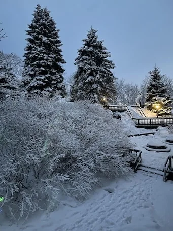 Ski -In/Ski-Out- Cozy 3 Bedroom No Stairs (1 Night Rentals Ok)
