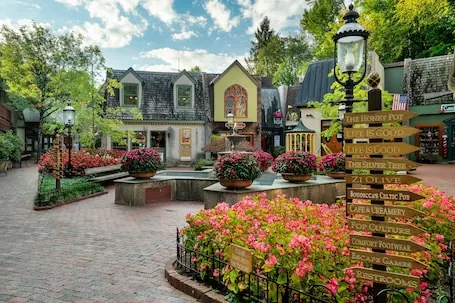 Spacious 5 BR/Triple Deck/View from top/close to all attractions in Gatlinburg.