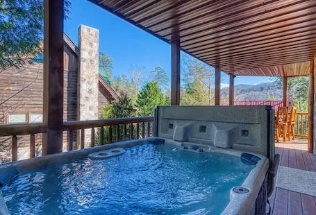 “THE VIEW” 5 STAR ELEGANT, PET FRIENDLY, KING BEDS 3/3.5 Discounts available