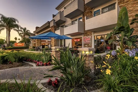 Tropicana Inn and Suites
