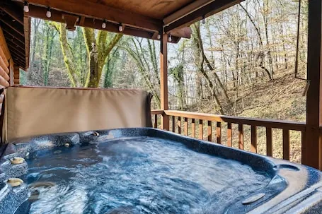 Walking distance to LeConte Center/Small Dogs allowed/2 miles from Dollywood