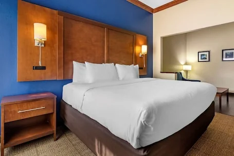 Comfort Inn & Suites Statesboro – University Area