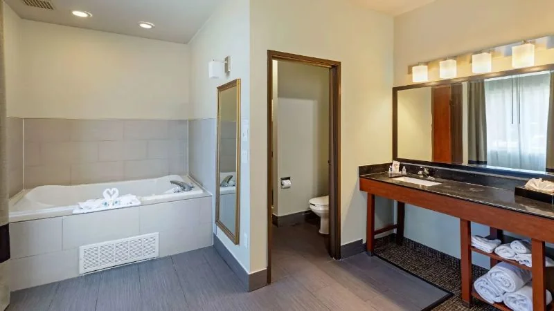 Comfort Suites North Dallas