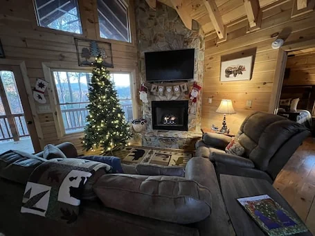 Dog friendly, 2/2 w/kings, Mtn view! Fire pit, Wifi, gas logs. Cherry Log MTN !!