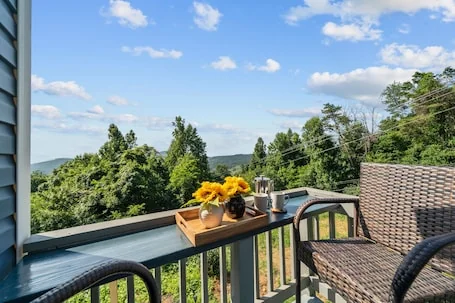 🔥 Hottub + 🐕 friendly + 🏔️ view + Skyline Dr + Wineries