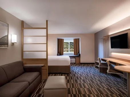 Microtel Inn & Suites by Wyndham Georgetown Lake