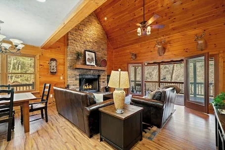 New! Riverfront Retreat Sleeps 12 Ellijay