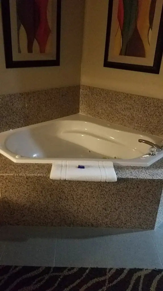 Best Western Plus Suites-Greenville