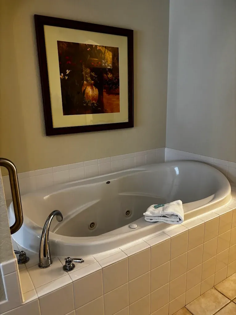 Buena Vista Suites Orlando