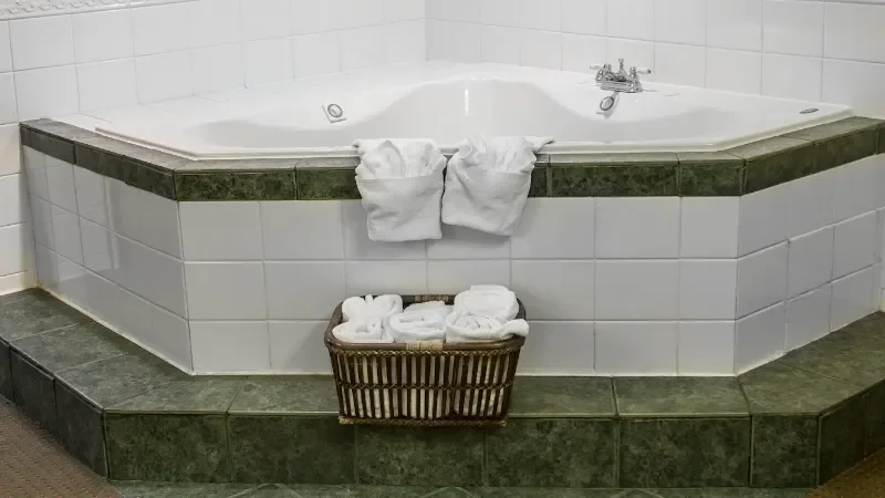 Comfort Inn Lansing West