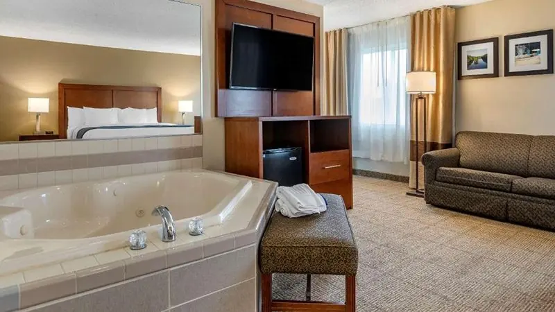 Comfort Inn & Suites Diamondale – Lansing