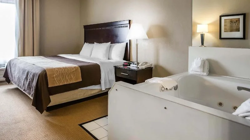 Comfort Inn & Suites Tinley Park IL