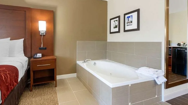 Comfort Inn & Suites West