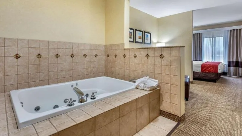 Comfort Suites South