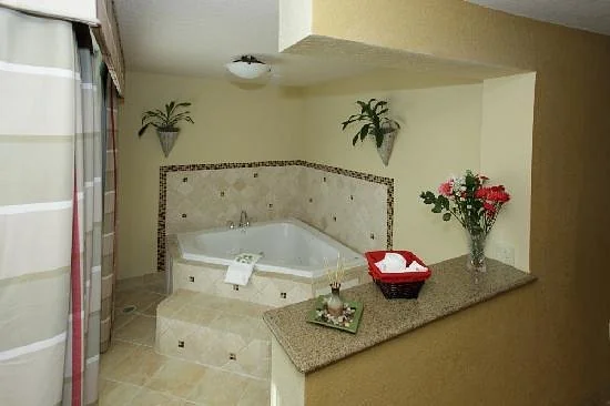 Country Inn & Suites by Radisson, Tampa Airport North