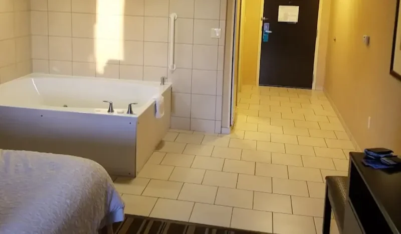 Hampton Inn And Suites Flint / Grand Blanc