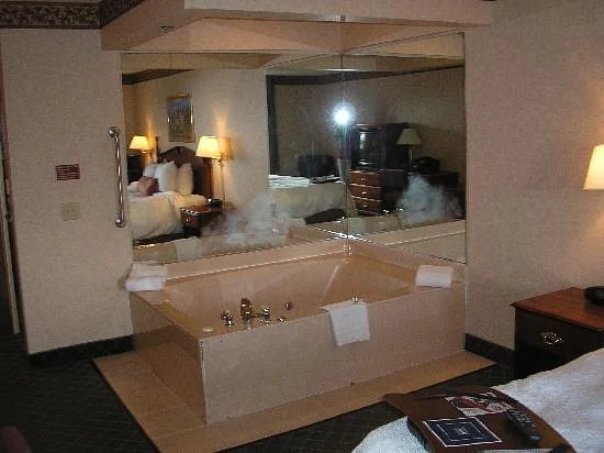 Hampton Inn Birch Run/Frankenmuth