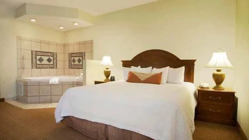 Hilton Garden Inn Knoxville West/Cedar Bluff