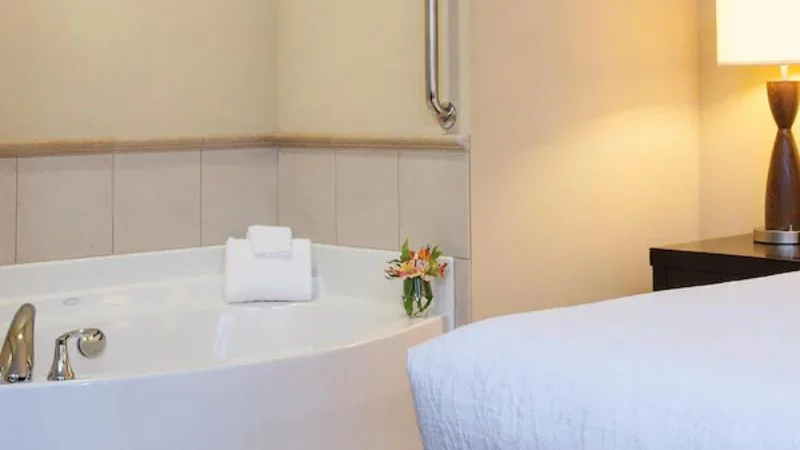 Hilton Garden Inn Minneapolis Downtown
