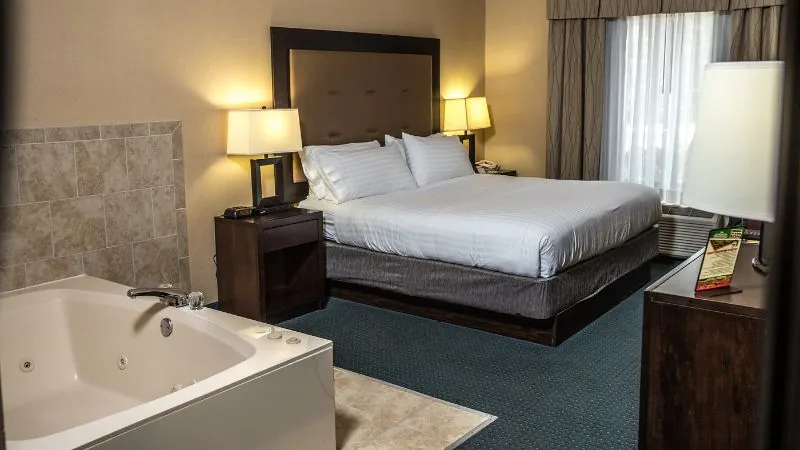 Holiday Inn Express Hotel & Suites Detroit-Novi by IHG