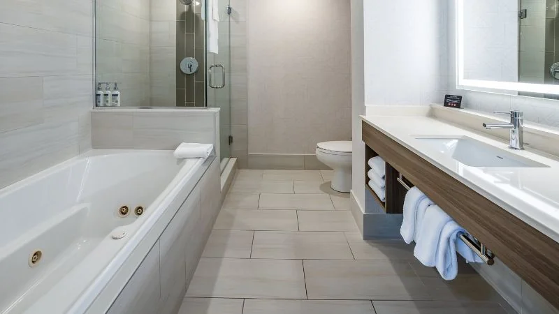 Holiday Inn Express & Suites Tampa-I-75