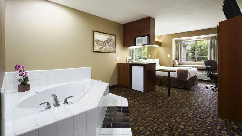 Microtel Inn & Suites by Wyndham Lithonia/Stone Mountain
