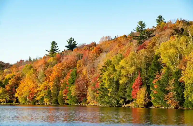 Fall foliage along a calm lake in the Pocono Mountains