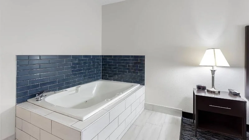 Quality Inn & Suites Niles